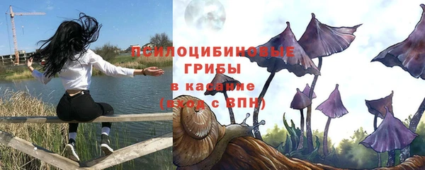 метадон Белокуриха